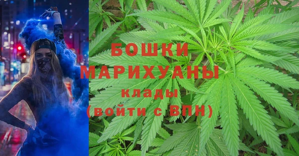 трава Богородицк