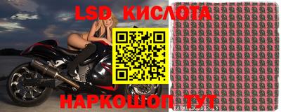 гидра Аргун