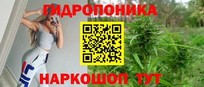 гидра Аргун