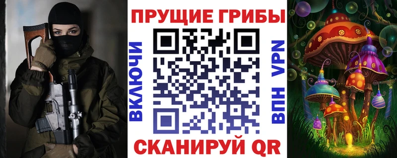 Галлюциногенные грибы Psilocybe Бутурлиновка