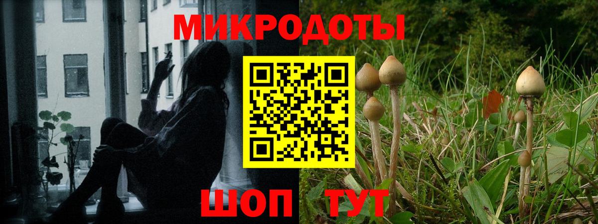 Бутурлиновка  купить наркотик  Вход с VPN  Галлюциногенные грибы Psilocybe 