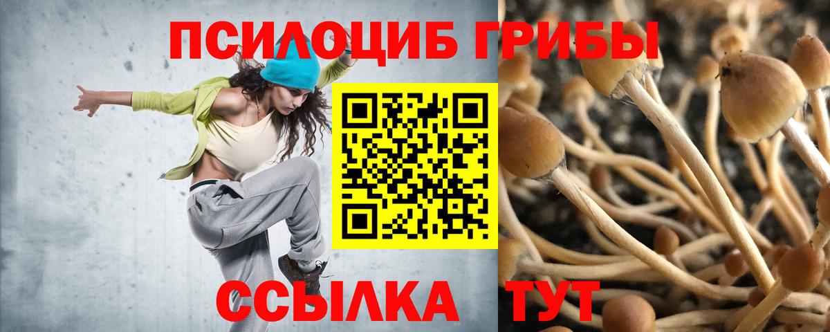 Псилоцибиновые грибы MAGIC MUSHROOMS Бутурлиновка