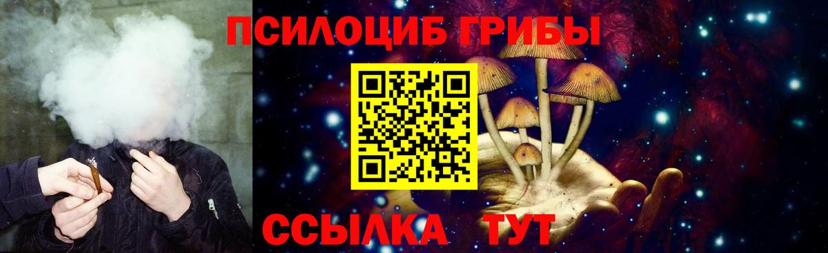 Галлюциногенные грибы Psilocybe  Бутурлиновка 